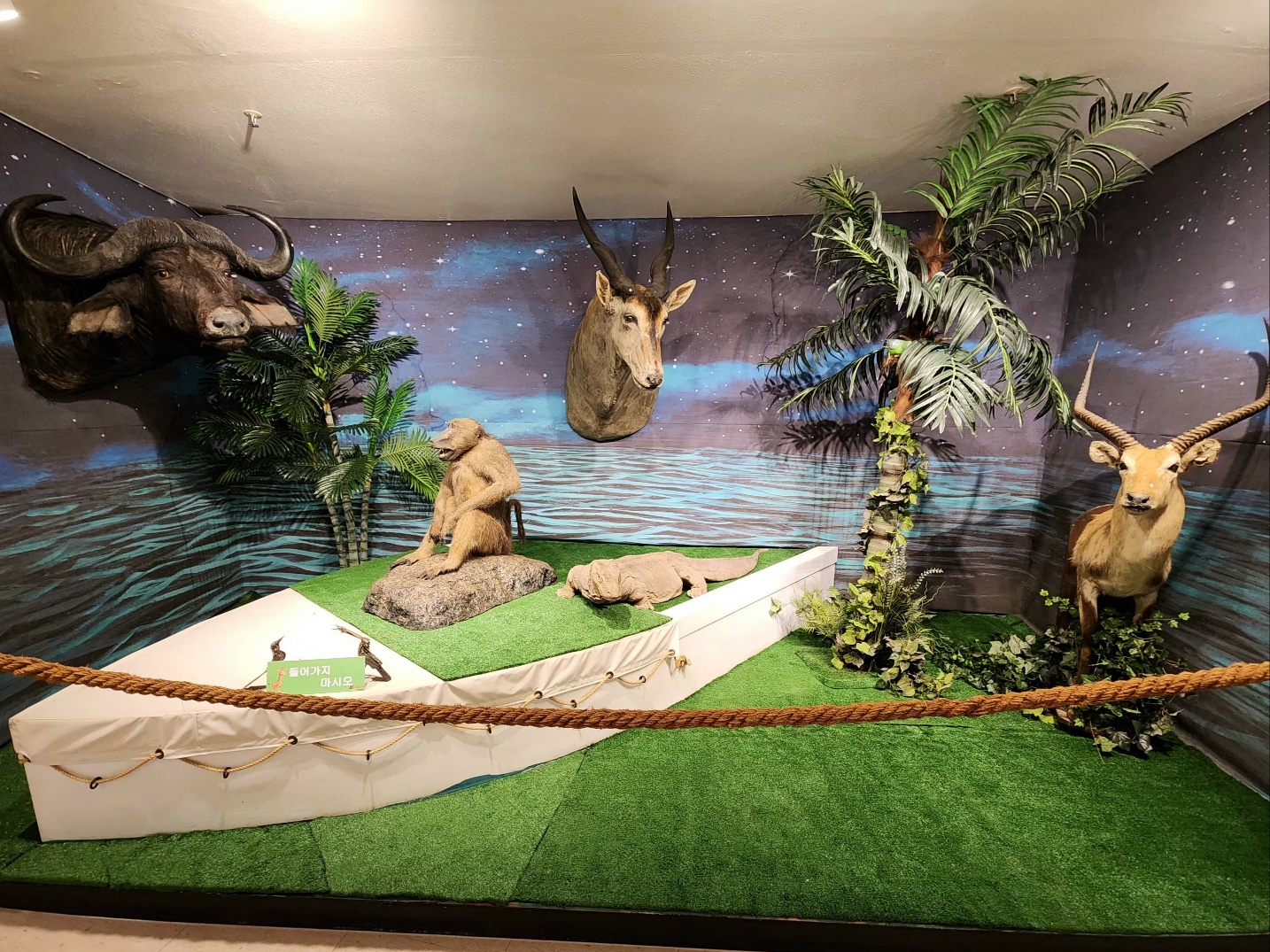 3067302113_1V70zYGx_10b9a4b568d04a98375dbeab2c2ae11ea0944ab5.jpg 이미지크게보기