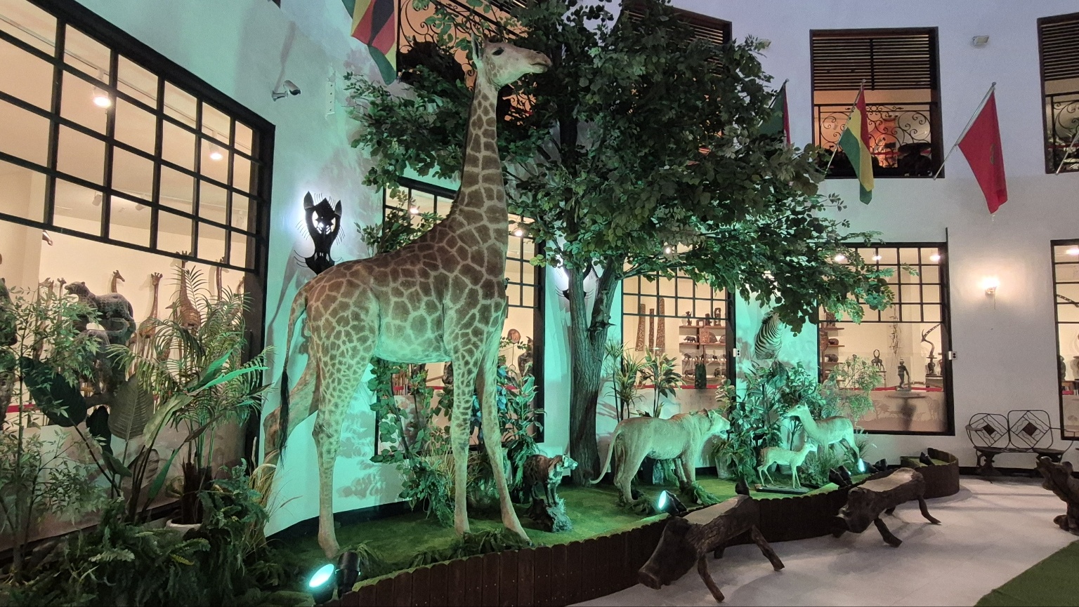 3067302113_vBilzhXO_23cac31bb3bf6ffdaaec3522c54140de95cb1e2f.jpg 이미지크게보기