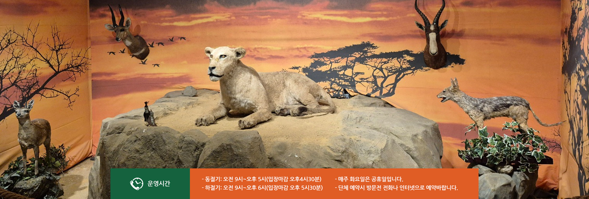 20260107155736_6IpvXZr5.jpg_carousel__