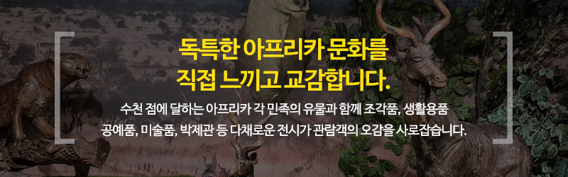아프리카예술박물관_메인문구_내용